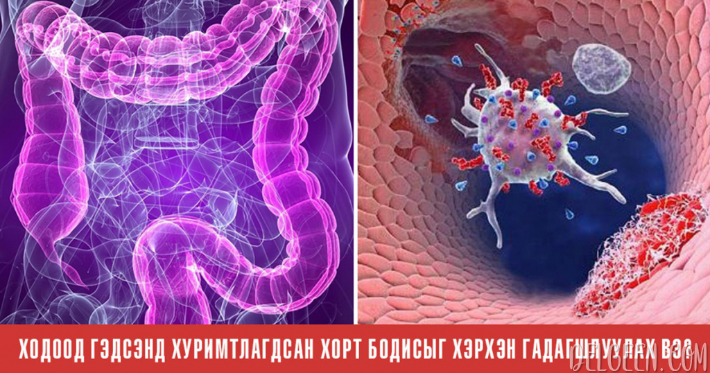 Мэргэжилтнүүдийн зөвлөж буй ходоод гэдэс цэвэрлэх шалгарсан 12 арга ...