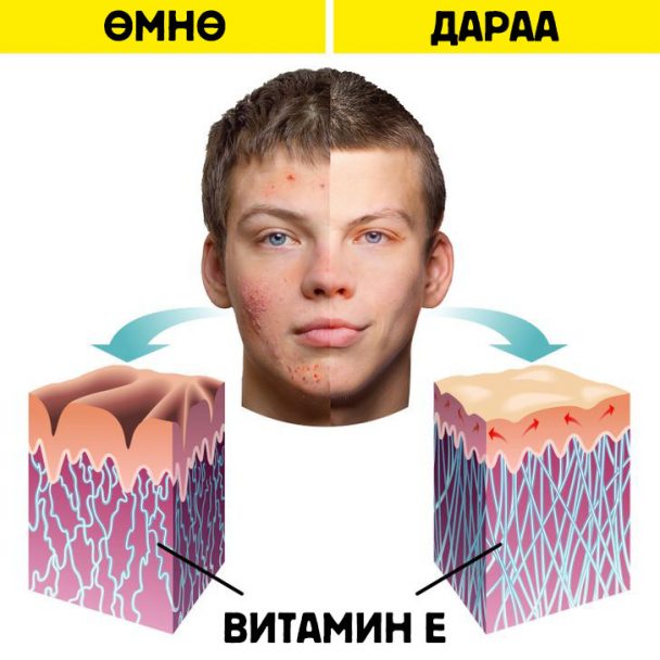 Бүйлс бол амттай хэрнээ эрүүл мэндэд олон талын ач тустай самар. Үүнийг ...