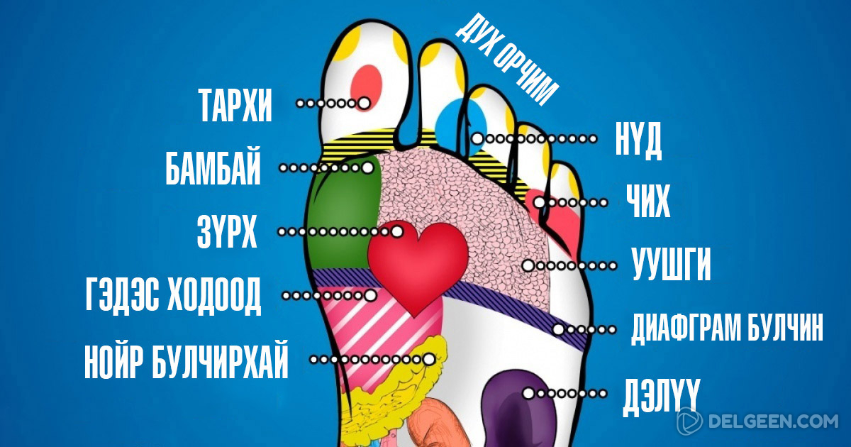 Эрүүл мэндийг тэтгэж, урт удаан наслахын нууц ердөө л энэ – Унтахаасаа ...